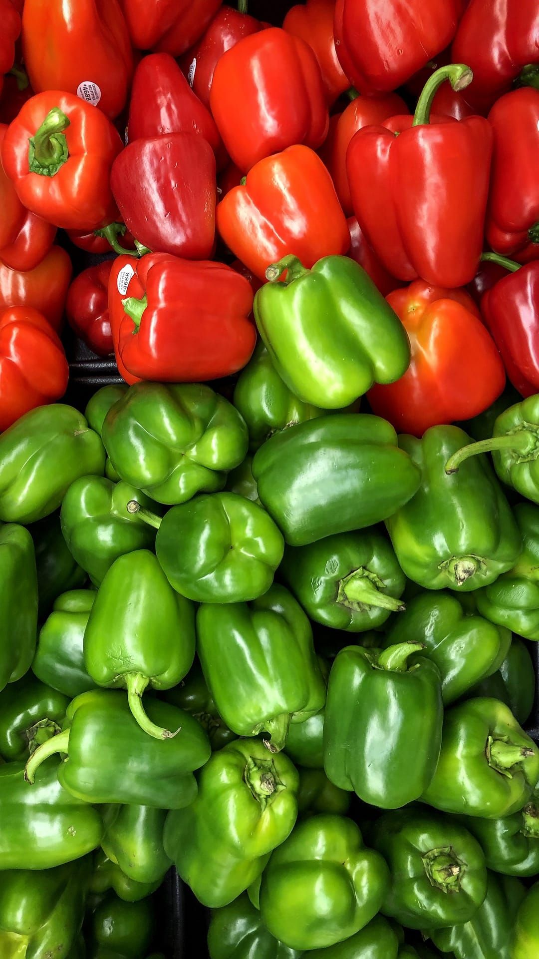 Fresh Bell Pepper