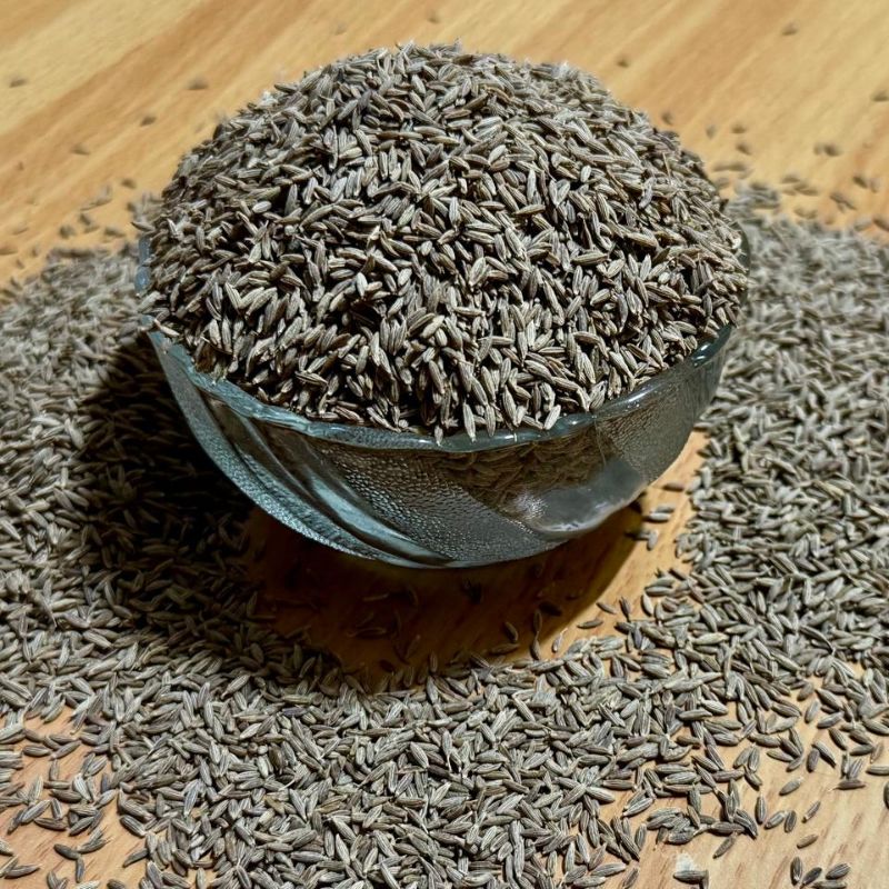 Cumin Seeds Jeera