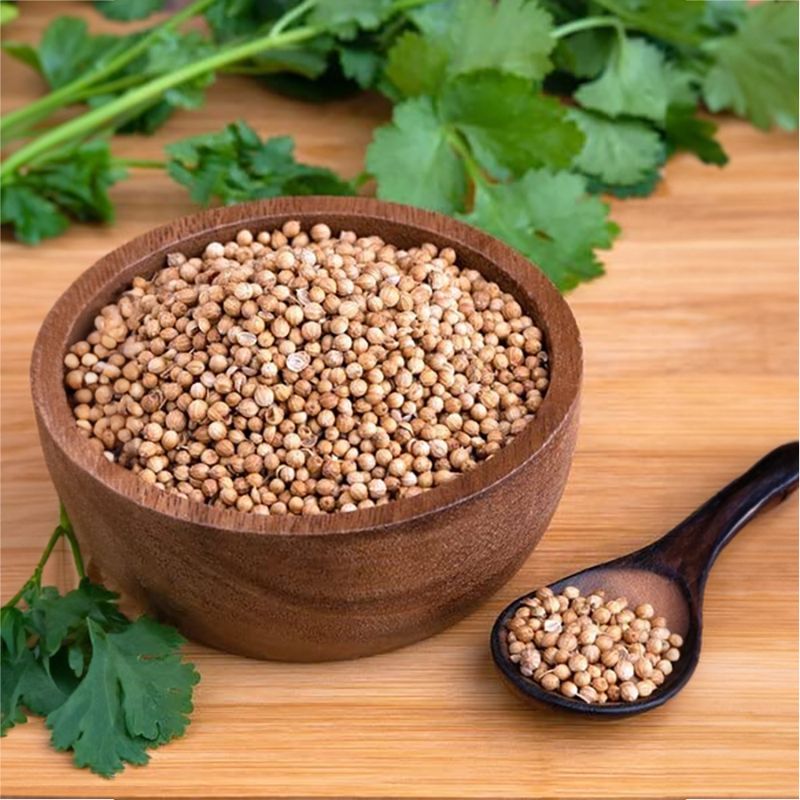 Coriander Seeds Dhania
